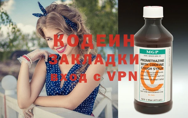 шишки Медвежьегорск