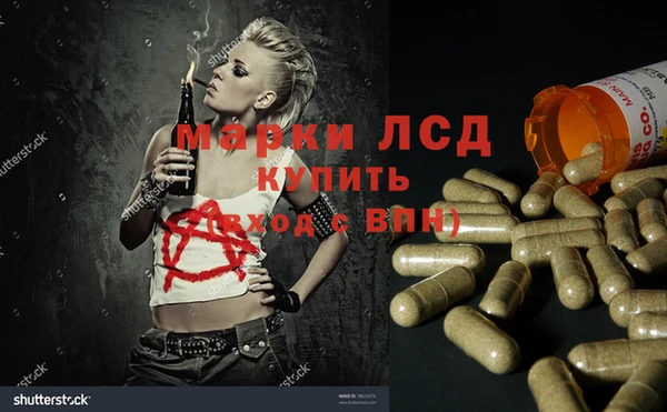 гидропоника Михайлов