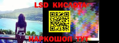 индика Заводоуковск