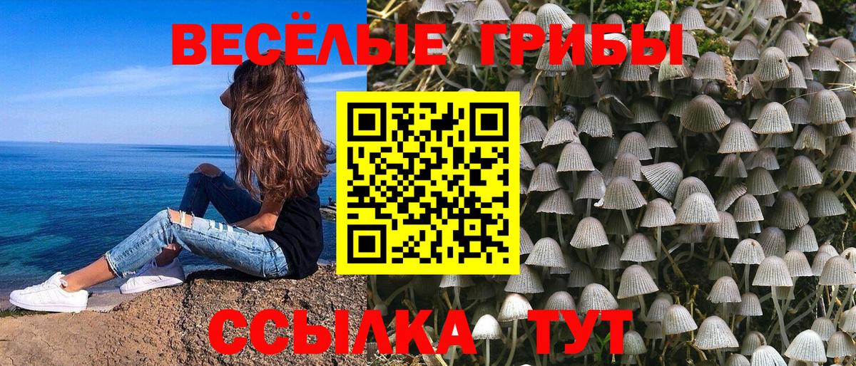 Псилоцибиновые грибы Magic Shrooms  Псилоцибиновые грибы GOLDEN TEACHER  Рязань 